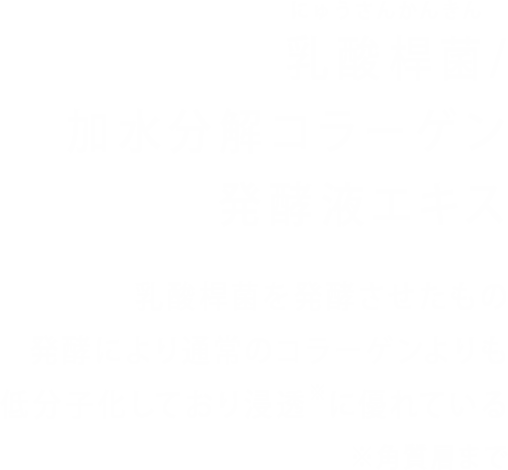 乳酸桿菌 / 加水分解コラーゲン発酵液エキス