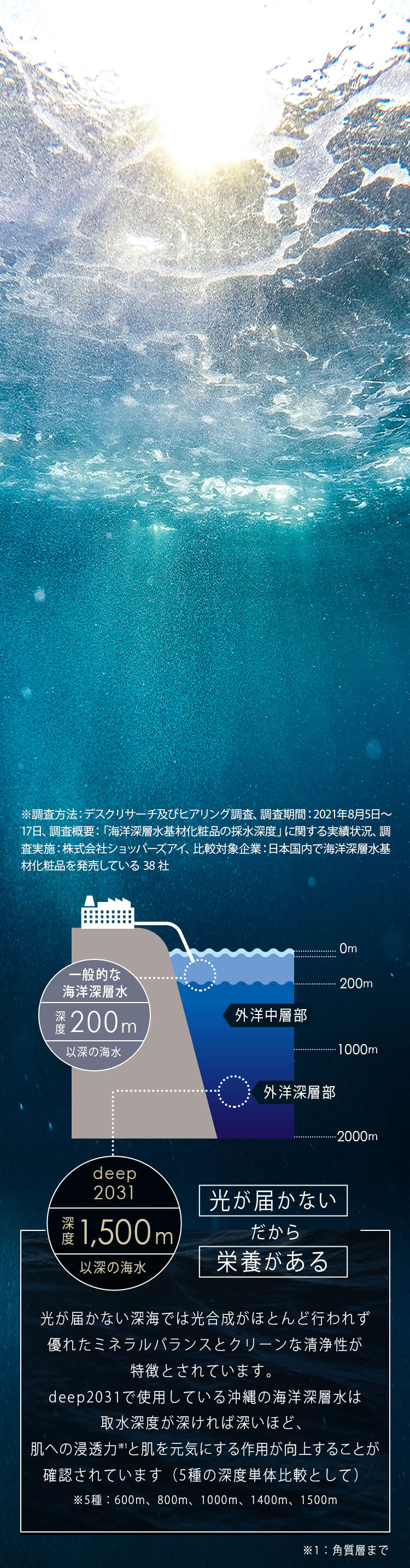 光が届かない だから 栄養がある