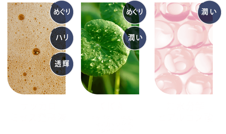 サッカロミセス発酵液 CICA 加水分解ヒアルロン酸