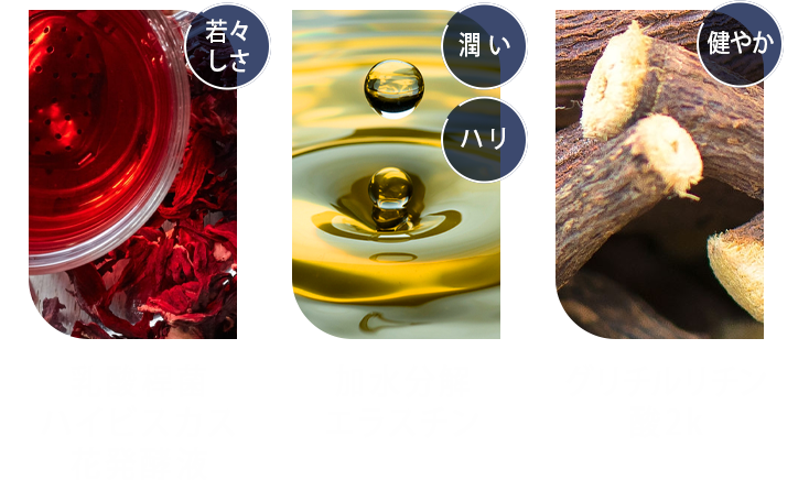 乳酸桿菌ハイビスカス花発酵液 加水分解エラスチン グリチルリチン酸2k