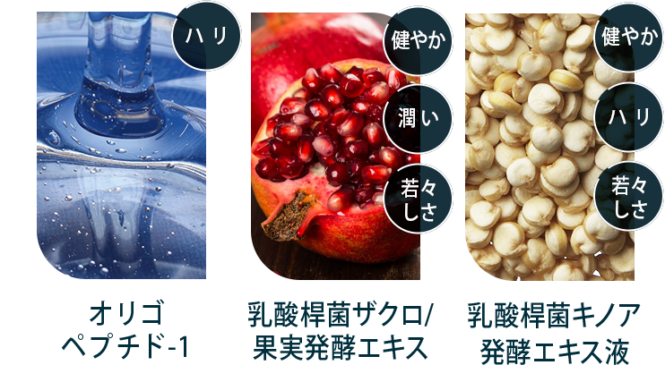 オリゴペプチド-1 乳酸桿菌ザクロ/果実発酵エキス 乳酸桿菌キノア発酵エキス液