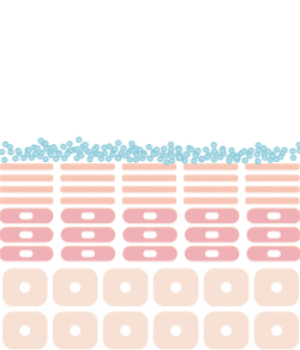 ナノ化リポソーム加工時